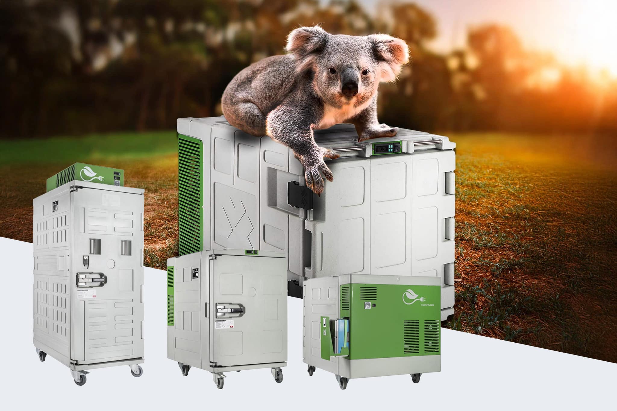 Un koala assis sur des conteneurs réfrigérés modulaires au coucher du soleil en extérieur.